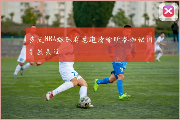 多支NBA球队有意邀请徐昕参加试训引发关注
